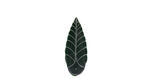 Leaf Soapstone Incense Holder-Naathi-Aromatherapy-NZ