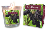 Mulberry 100% Beeswax Candle - Jiyo - 125g-Candles-Naathi-Aromatherapy-NZ