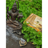 Premium Benzoin Resin Cups-Incense Sticks-Naathi-Aromatherapy-NZ